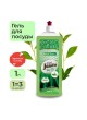 Оптом Гель для мытья посуды Jundo Green tea with mint запасной блок, 1 л 4903720041116