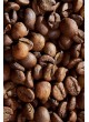 Кофе в зернах GURME Italiano Busto 1000 г оптом