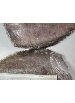 Палтус гренландский, б/г, 2-3 кг оптом
