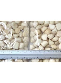 Гребешок морской, 60-80 шт/кг, 20 х 0.5 кг оптом