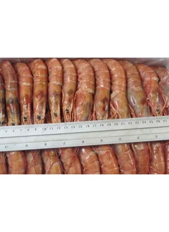 Креветки аргентинские, в панцире, L2 - (21-30) шт/кг оптом