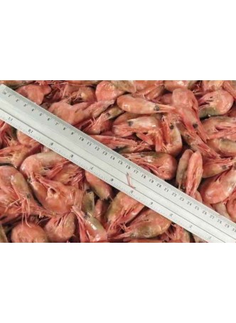 Креветки северные, в/м, 80-100 шт/кг оптом