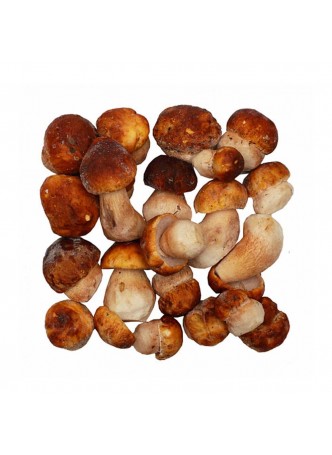 Белые грибы целые, 2 сорт, индивид. заморозка, 4кг/кор, Россия (КОД 31079) (-18*С) оптом