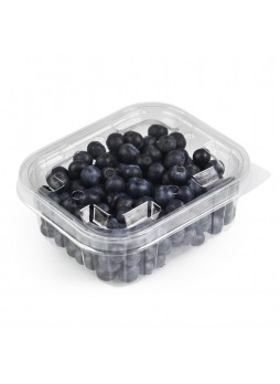 Голубика ягода, 1-й сорт, 125г х 12шт, ПЭТ контейнер, Гринфилдс, Марокко, (КОД 31095), (+5°С)