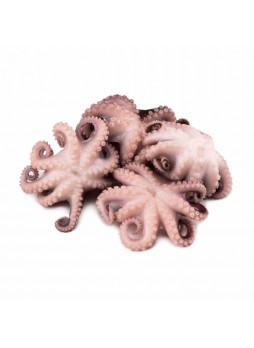 Осьминоги 40/60 целые зачищ с/м 1кг пакет 8%гл IQF Octopus Vulgaris TS 234 Вьетнам(КОД 40715)(-18°С)
