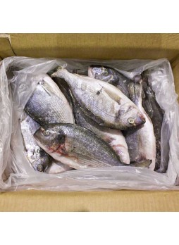 Дорадо рыба 400/600 непотрашеная с головой охл. 6кг кор. Agromeyfish Турция (КОД 73928) (0°С)