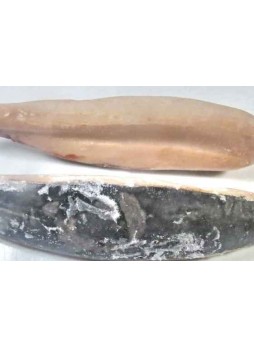 Филе тунца на коже, 2+ кг оптом